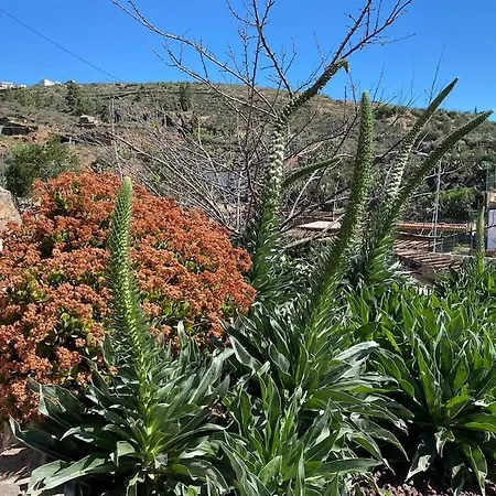 La Escondida 度假居 *