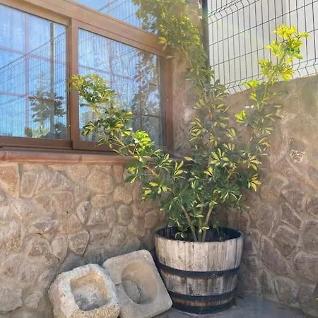 Сasa de vacaciones La Escondida Arico Viejo