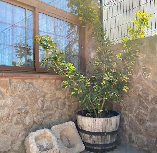 Prázdninový dům La Escondida Arico Viejo